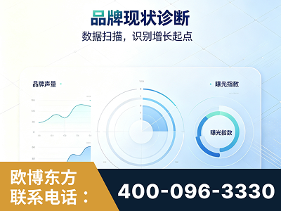 密山-品牌现状诊断